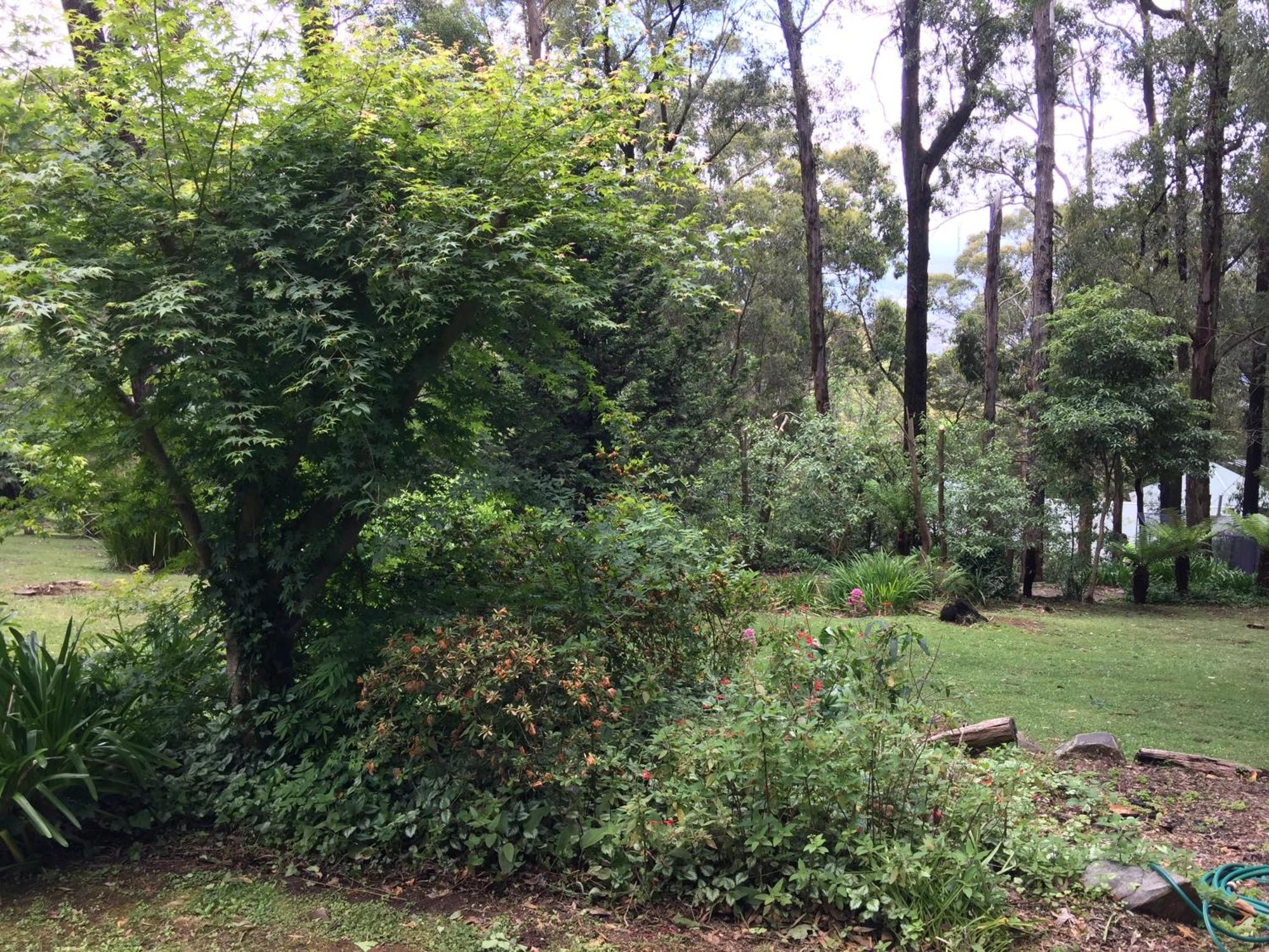 Holly * Kalorama