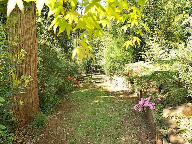 Holly * Kalorama